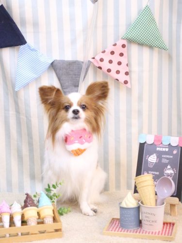 20250516ぎゅうちゃん